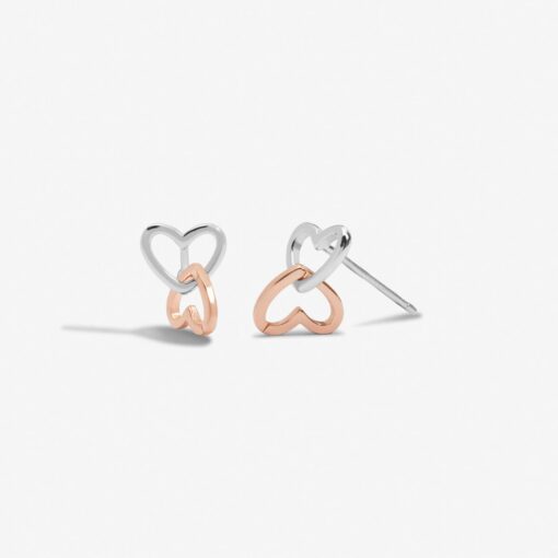 Joma Jewellery Forever Yours 'Fabulous Friend' Earrings