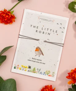 The Little Robin - Seeded Card & Wish Bracelet