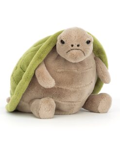 Timmy Turtle