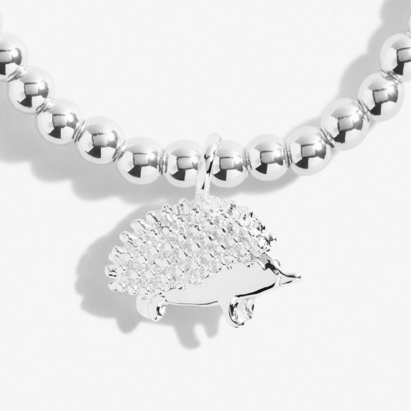 Peccadillos Gift Shop | Stafford